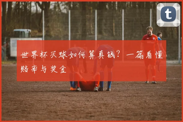 世界杯买球如何算真钱？一篇看懂赔率与奖金